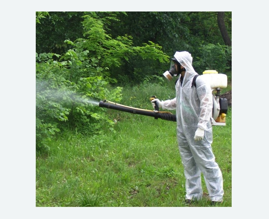 обработка территории от клещей в Новокубанске