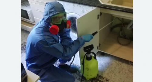 Уничтожение муравьев в квартире. Новокубанск