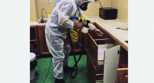 Уничтожение насекомых в квартире. Новокубанск