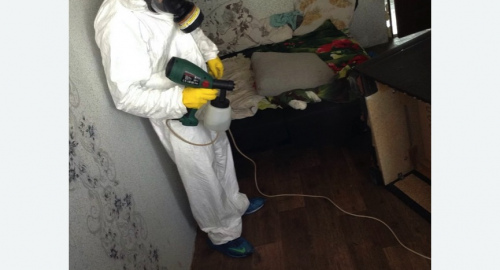 Обработка квартир от насекомых в Новокубанске