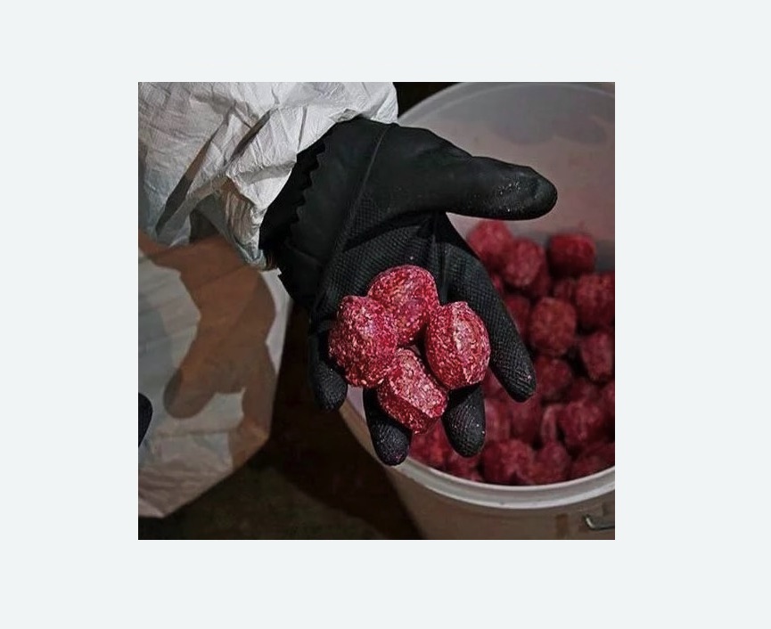 Обработка от крыс в Новокубанске