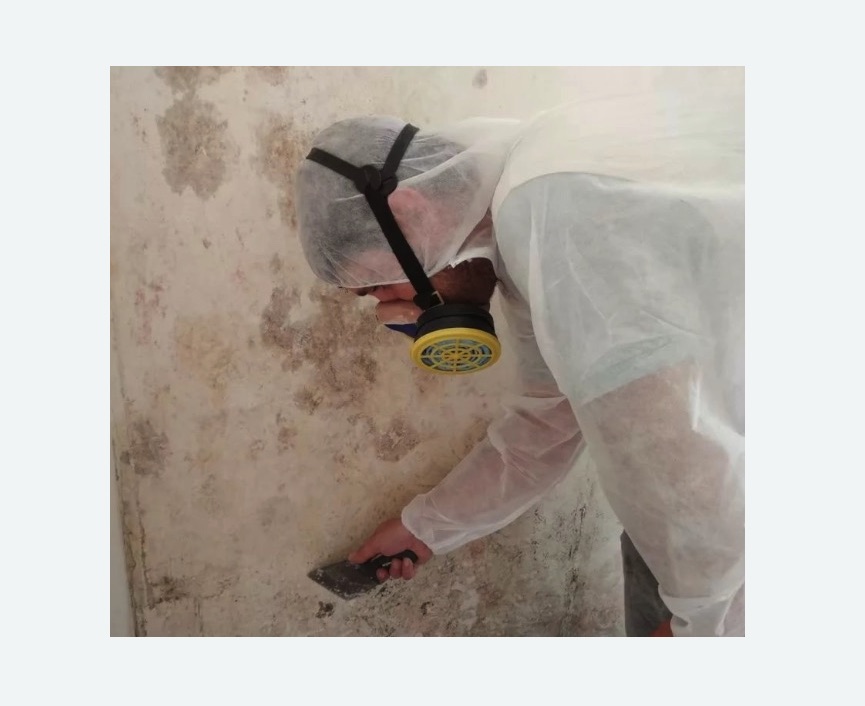 Обработка стен от плесени в Новокубанске