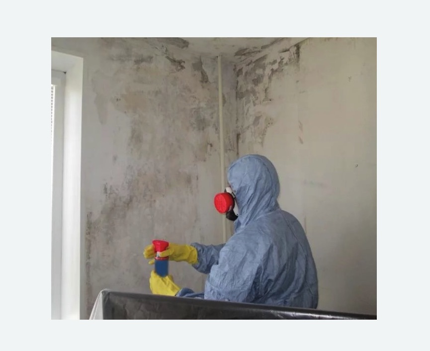 Удаление плесени в квартире в Новокубанске