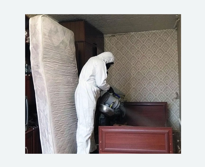 дезинфекция от клопов в Новокубанске