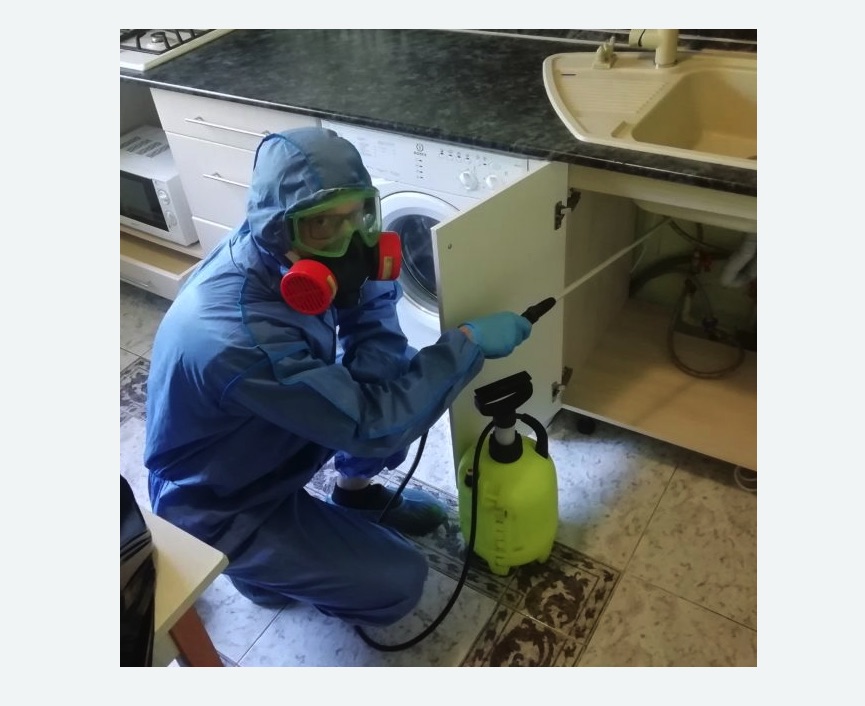 обработка от муравьев в квартире в Новокубанске