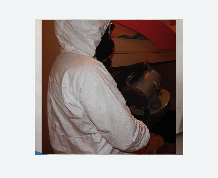 Дезинфекция от муравьев в Новокубанске