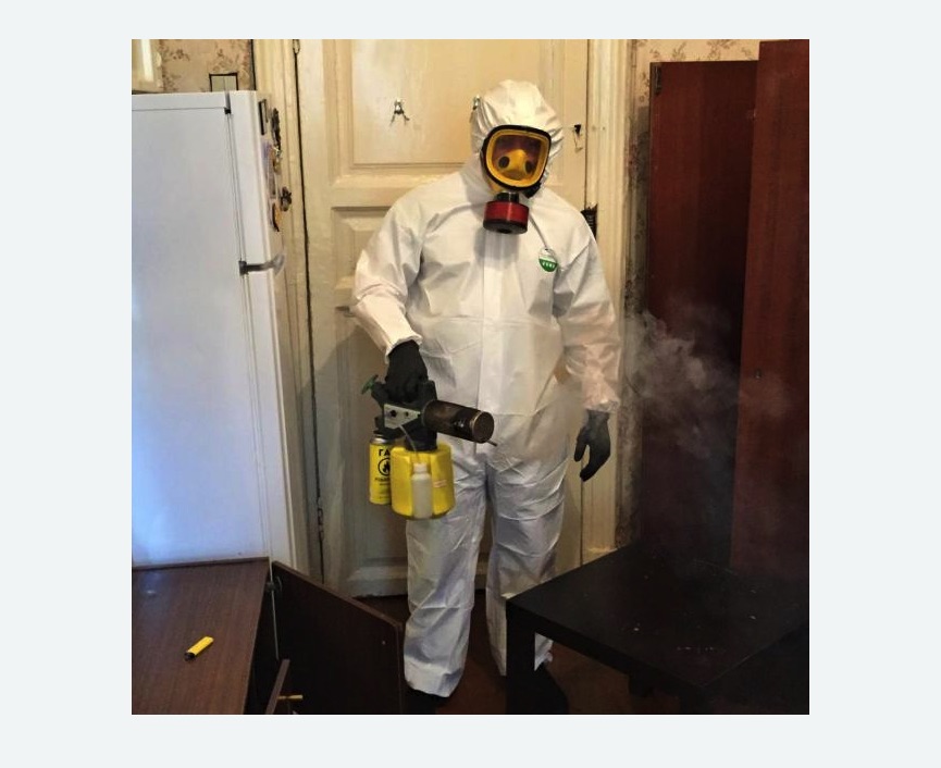 уничтожение муравьев в квартире в Новокубанске